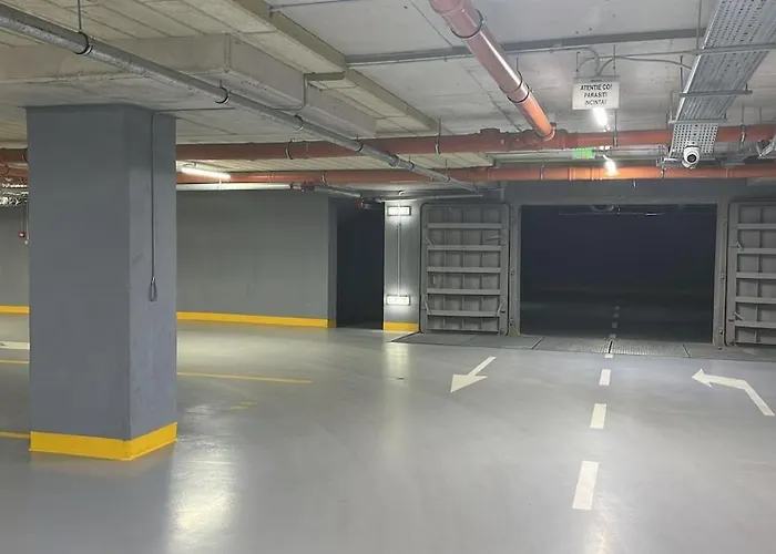 公寓 Luxury 1 Bedroom Flat Near Herastrau Park