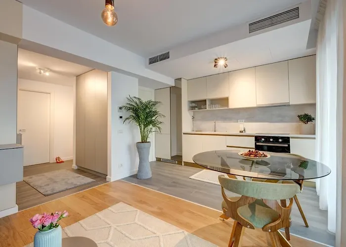 Luxury 1 Bedroom Flat Near Herastrau Park 公寓