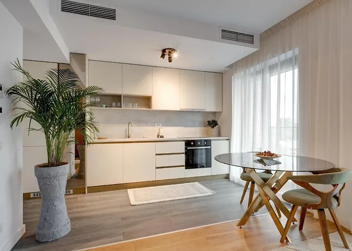 Luxury 1 Bedroom Flat Near Herastrau Park Boekarest